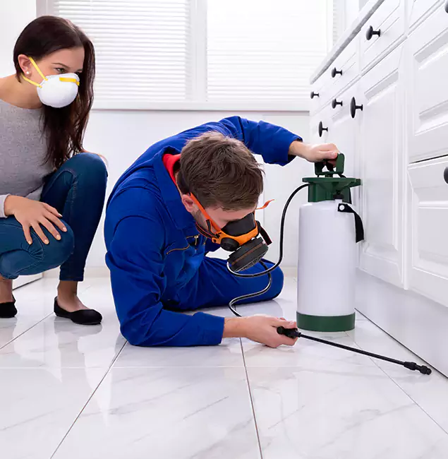 Why Choose Wood Termite Treatment by Cranford Pest Control Pro in Cranford, NJ?