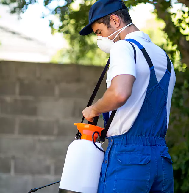 Why Cranford Pest Control Pro Is the Right Choice for Yellow Jacket Removal in Cranford, NJ?