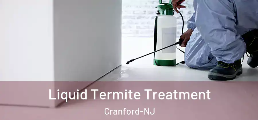 Liquid Termite Treatment Cranford-NJ