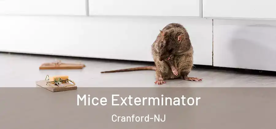 Mice Exterminator Cranford-NJ