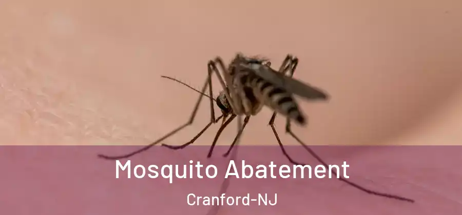 Mosquito Abatement Cranford-NJ
