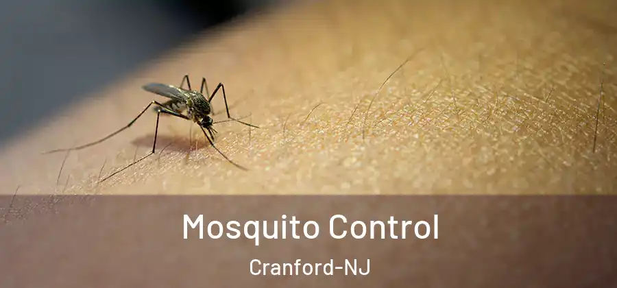 Mosquito Control Cranford-NJ