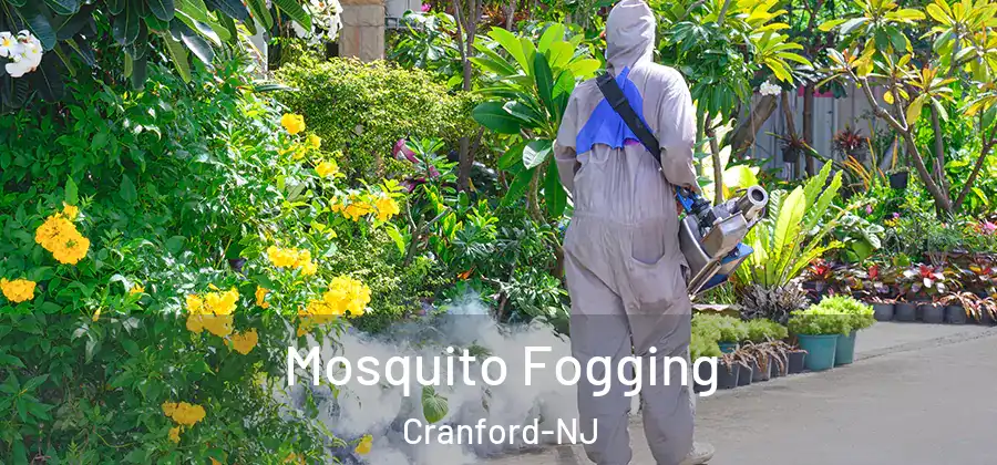  Mosquito Fogging Cranford-NJ