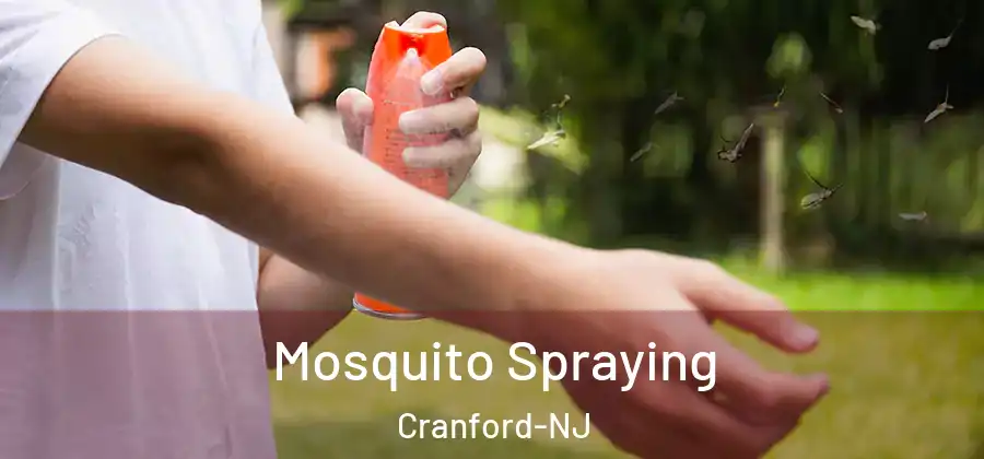 Mosquito Spraying Cranford-NJ
