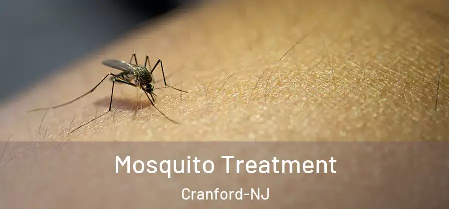 Mosquito Treatment Cranford-NJ