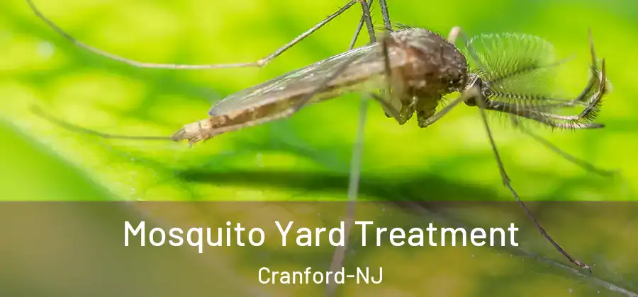 Mosquito Yard Treatment Cranford-NJ