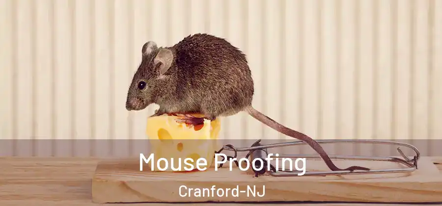  Mouse Proofing Cranford-NJ