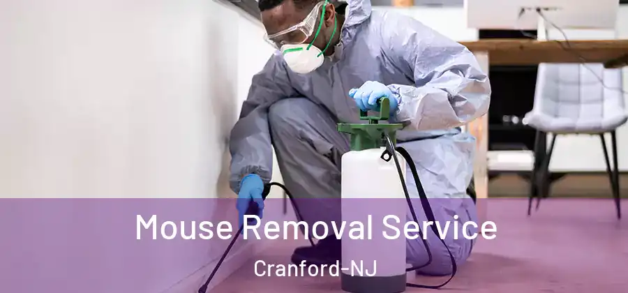  Mouse Removal Service Cranford-NJ