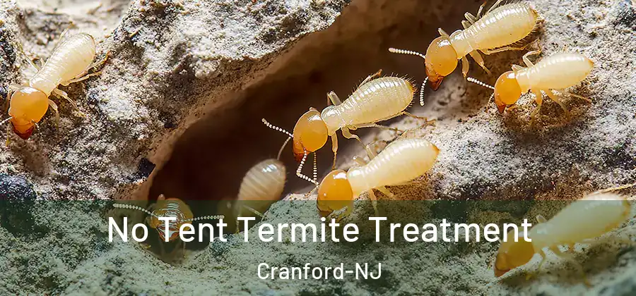  No Tent Termite Treatment Cranford-NJ