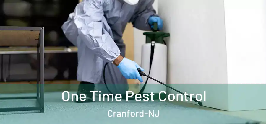One Time Pest Control Cranford-NJ