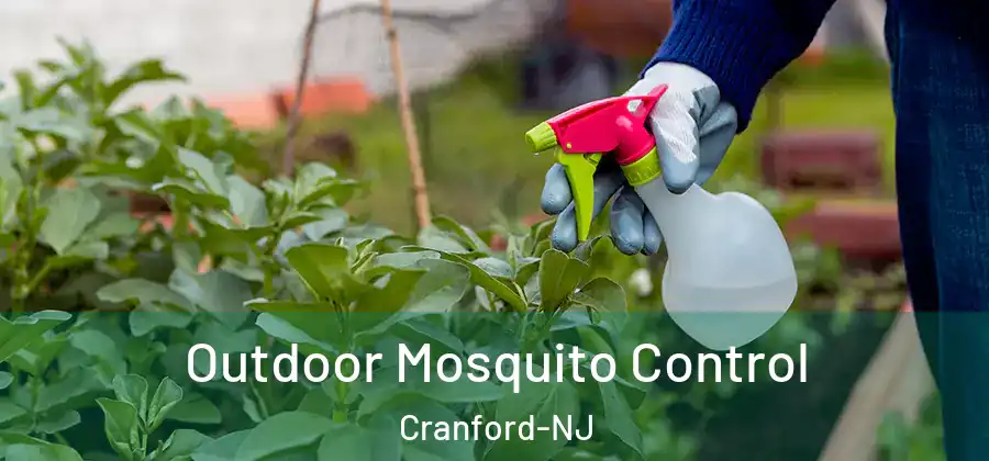 Outdoor Mosquito Control Cranford-NJ