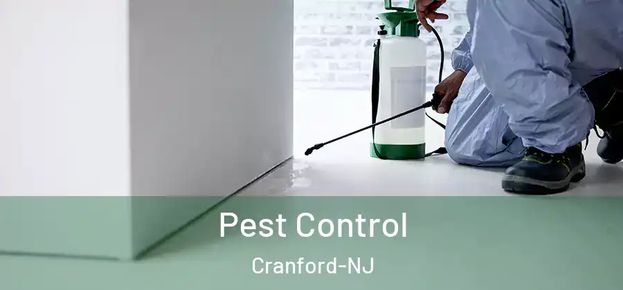 Pest Control Cranford-NJ