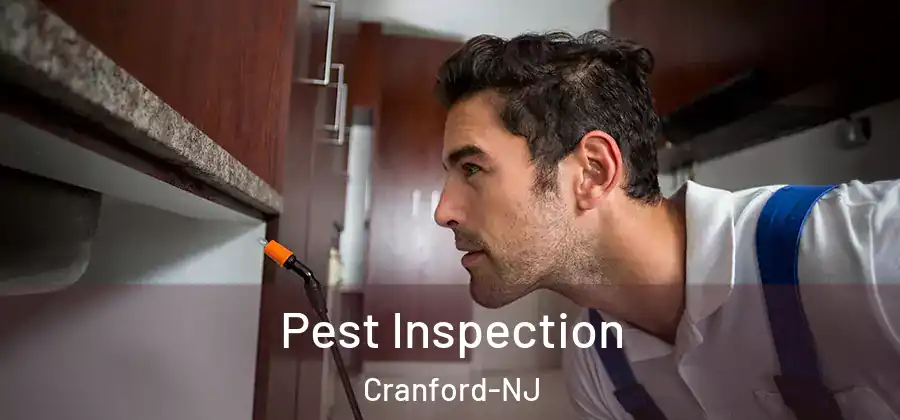  Pest Inspection Cranford-NJ
