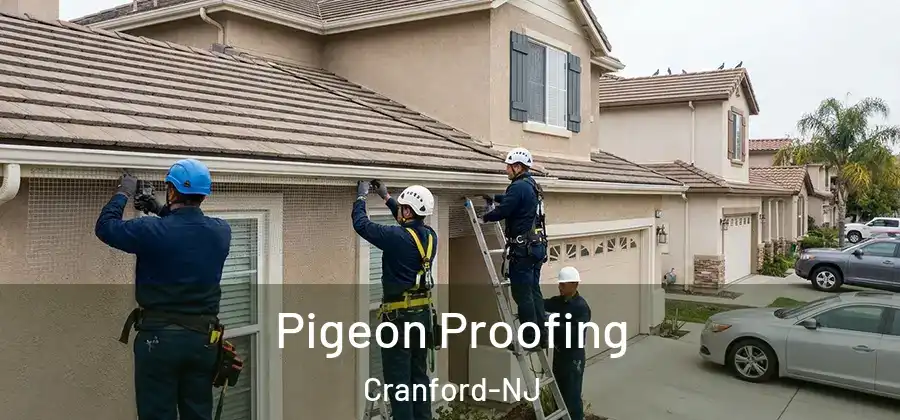 Pigeon Proofing Cranford-NJ