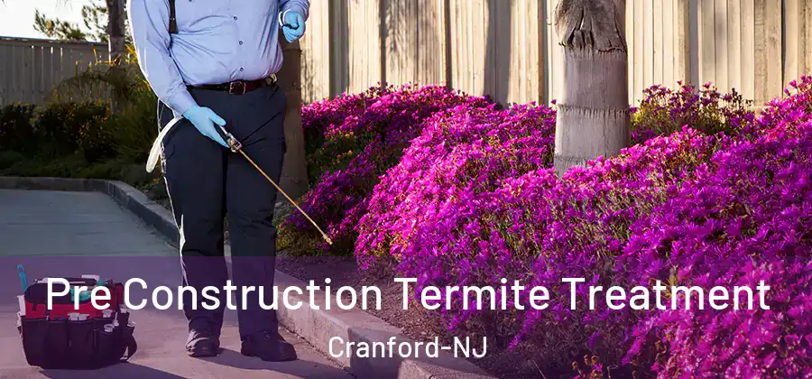 Pre Construction Termite Treatment Cranford-NJ