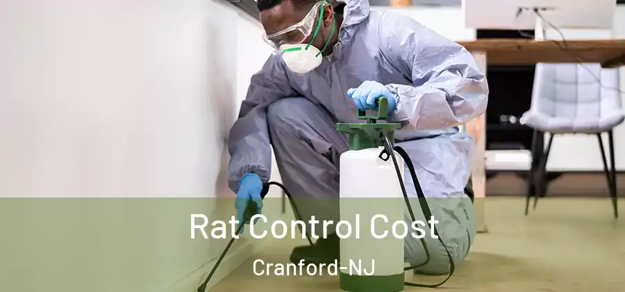 Rat Control Cost Cranford-NJ