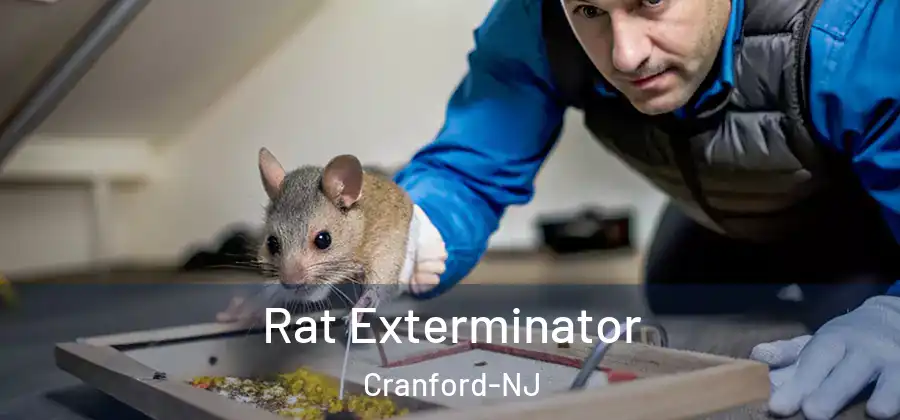 Rat Exterminator Cranford-NJ