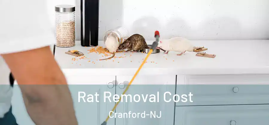  Rat Removal Cost Cranford-NJ