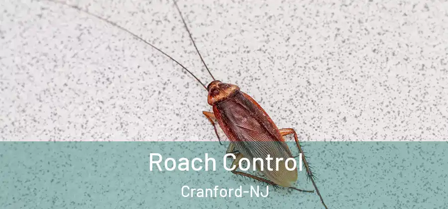 Roach Control Cranford-NJ