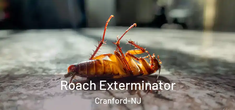 Roach Exterminator Cranford-NJ