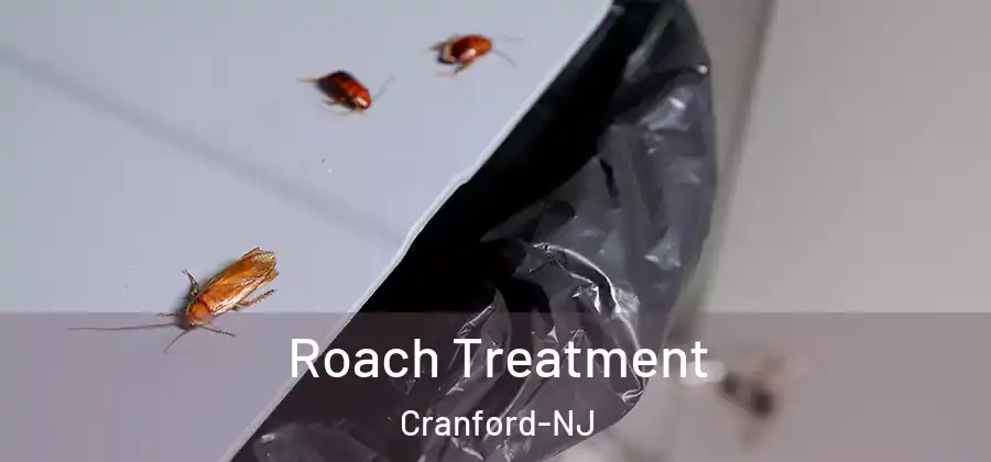 Roach Treatment Cranford-NJ