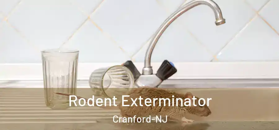 Rodent Exterminator Cranford-NJ