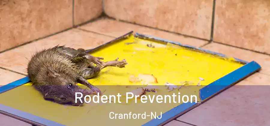 Rodent Prevention Cranford-NJ