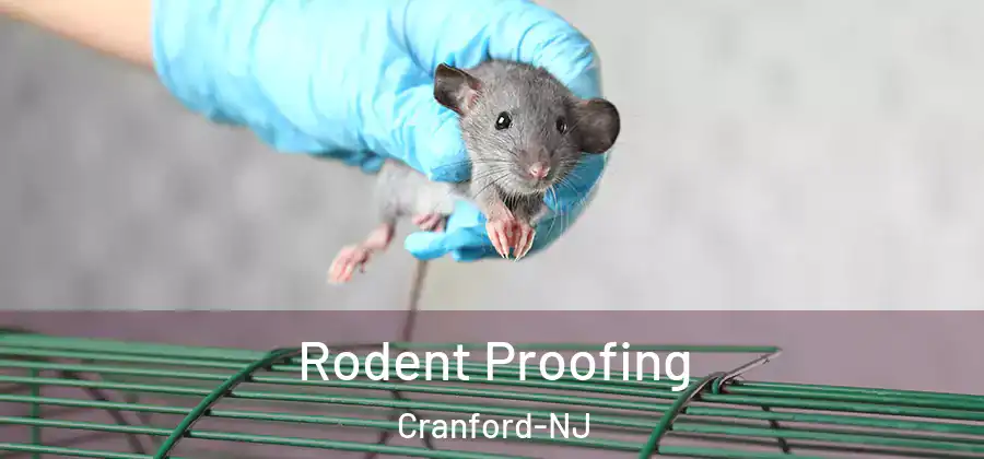 Rodent Proofing Cranford-NJ