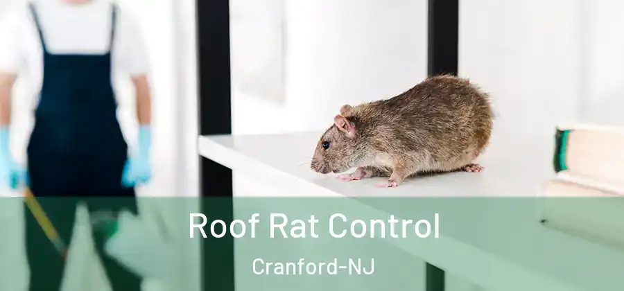Roof Rat Control Cranford-NJ