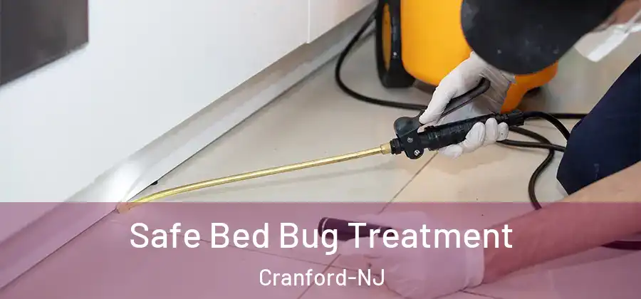 Safe Bed Bug Treatment Cranford-NJ