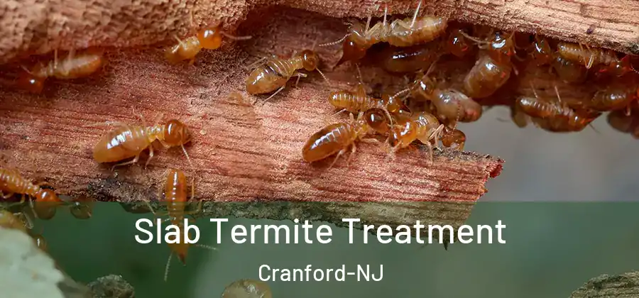  Slab Termite Treatment Cranford-NJ