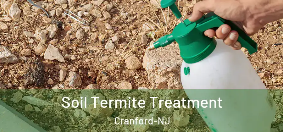  Soil Termite Treatment Cranford-NJ