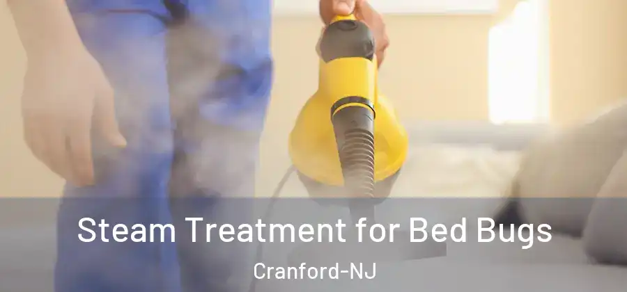 Steam Treatment for Bed Bugs Cranford-NJ