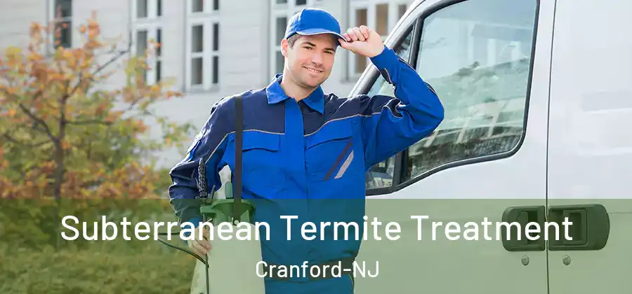 Subterranean Termite Treatment Cranford-NJ