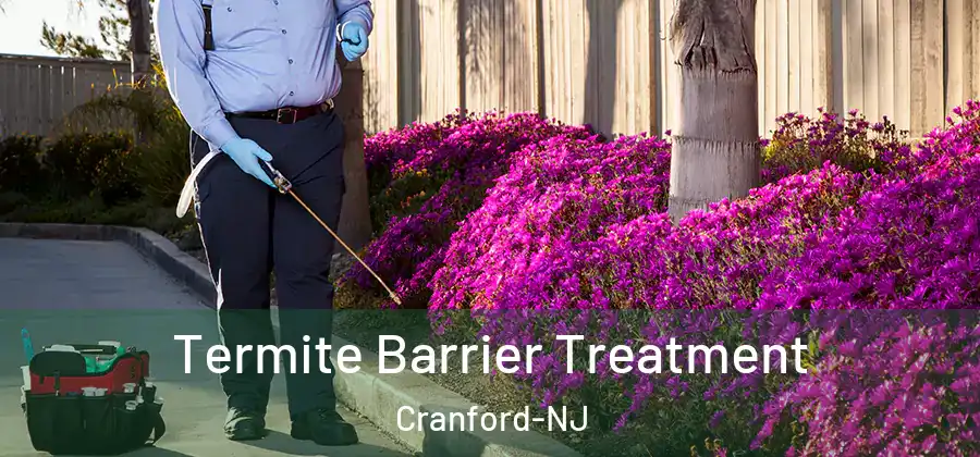 Termite Barrier Treatment Cranford-NJ