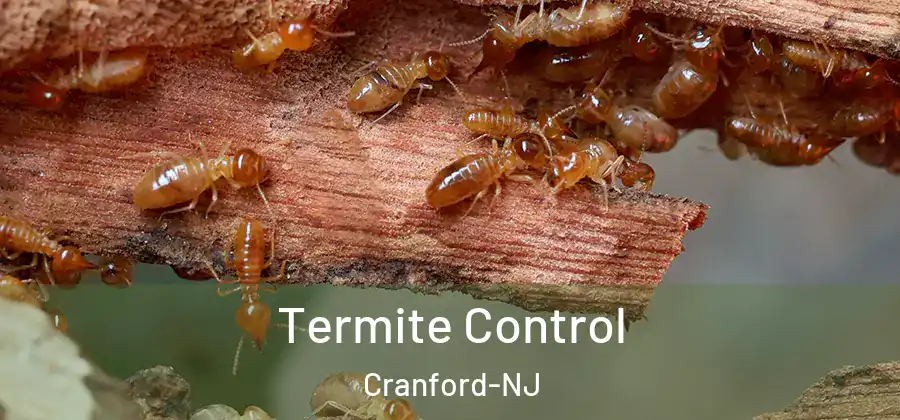  Termite Control Cranford-NJ