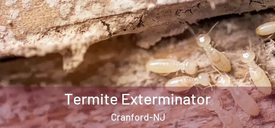 Termite Exterminator Cranford-NJ
