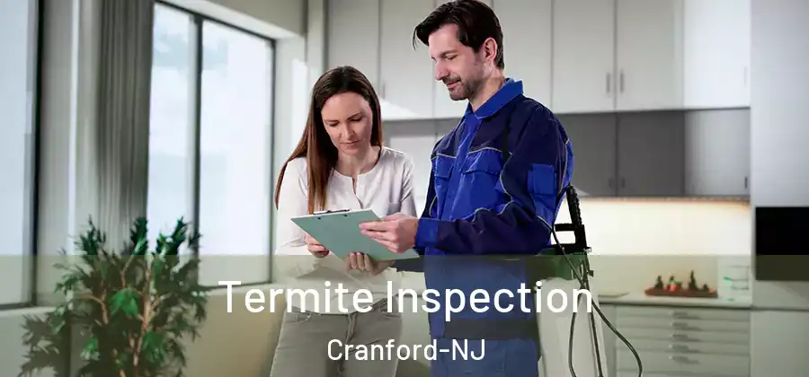  Termite Inspection Cranford-NJ