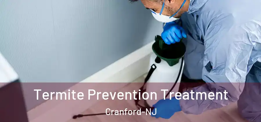  Termite Prevention Treatment Cranford-NJ