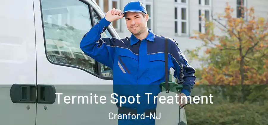  Termite Spot Treatment Cranford-NJ