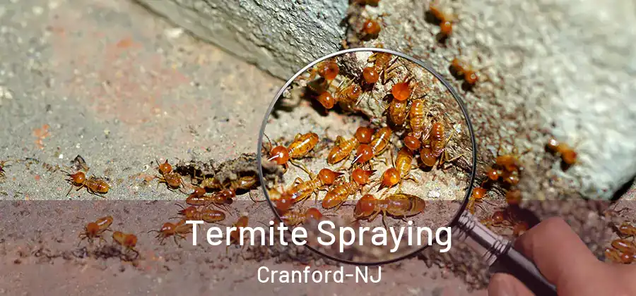Termite Spraying Cranford-NJ