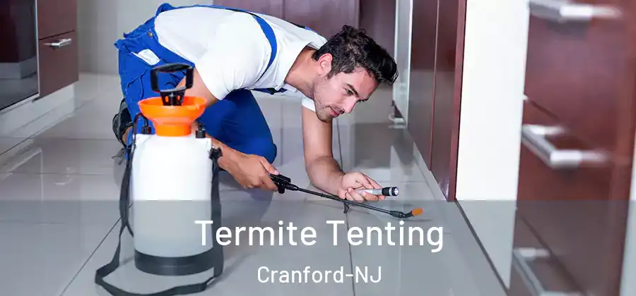 Termite Tenting Cranford-NJ