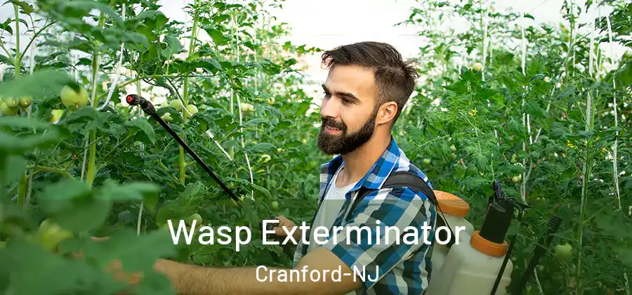  Wasp Exterminator Cranford-NJ