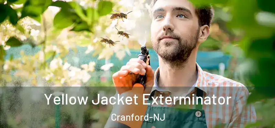Yellow Jacket Exterminator Cranford-NJ