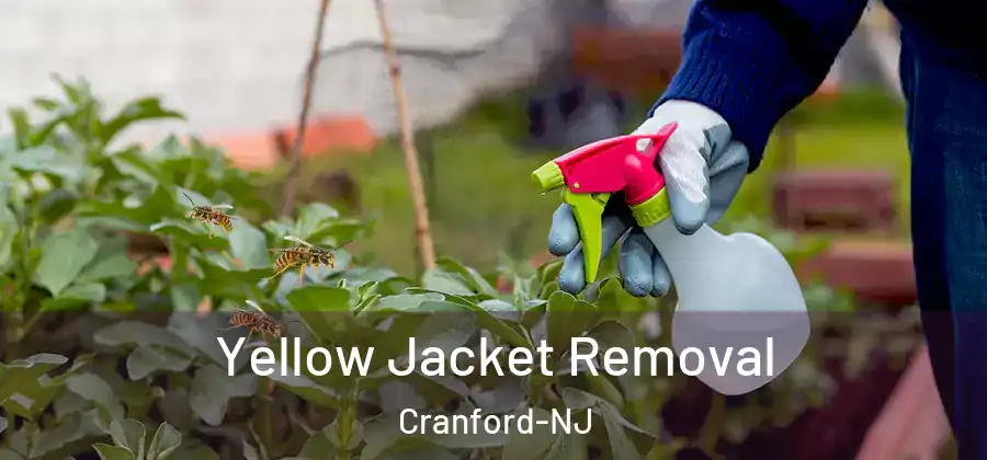 Yellow Jacket Removal Cranford-NJ